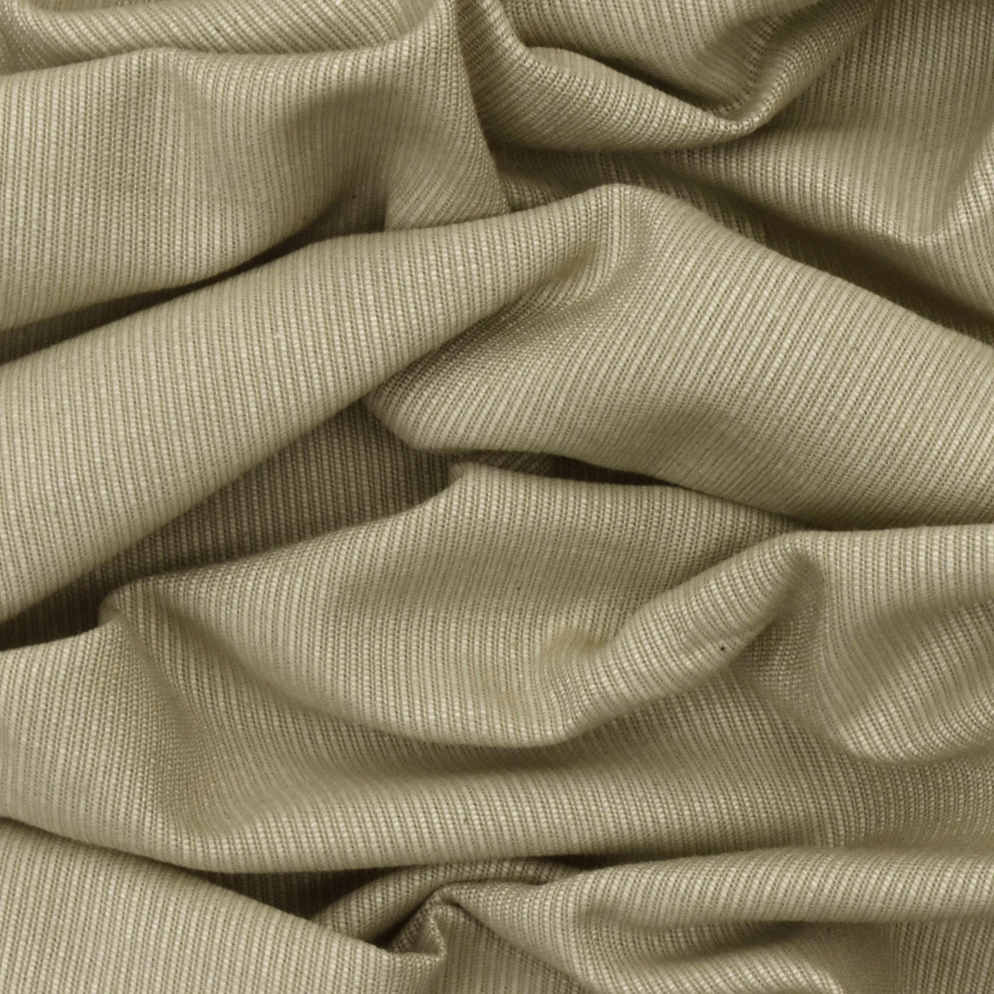 Khaki Beige Japanese Selvedge Cotton Rib Woven Fabric