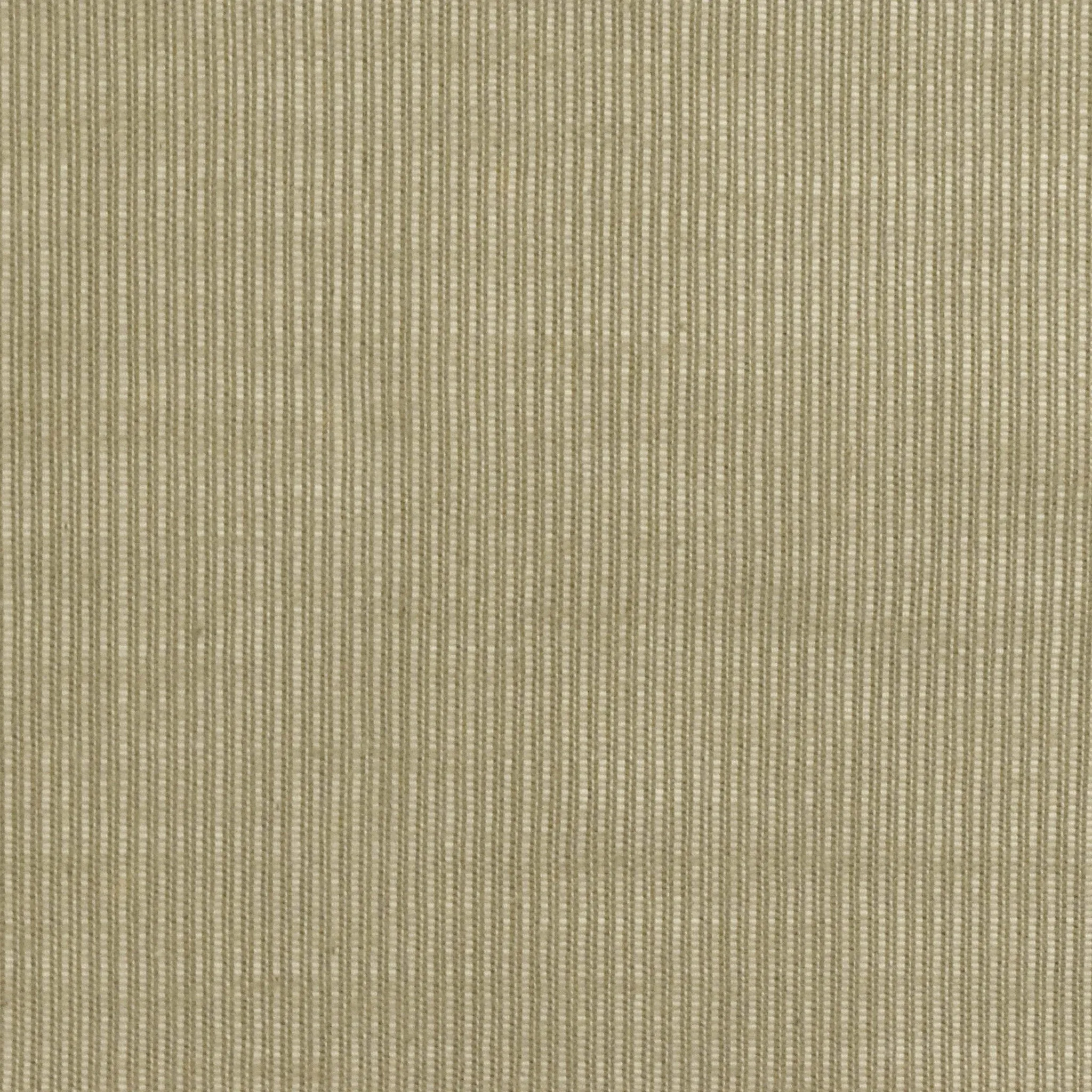 Khaki Beige Japanese Selvedge Cotton Rib Woven Fabric