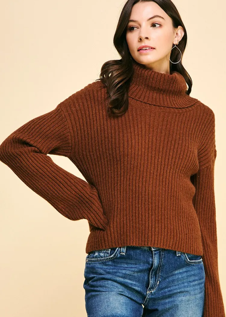 Lita Turtleneck Sweater ***FINAL SALE***